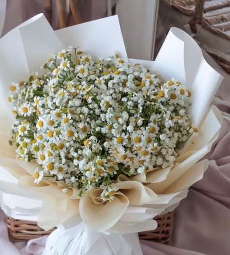 About fe697142 071b 4e96 8a31 6fa79b883fe7.jpg